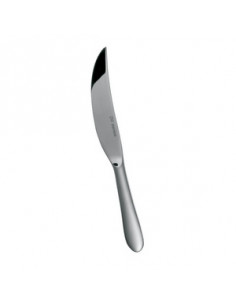 DESIGN STEAK KNIFE