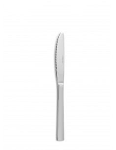 1001-CP CAKE KNIFE