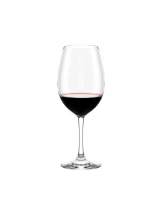 FLAIR COPA VINO h 224 mm 51 cl
