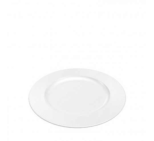 RAIO PLATO LLANO 24 cm