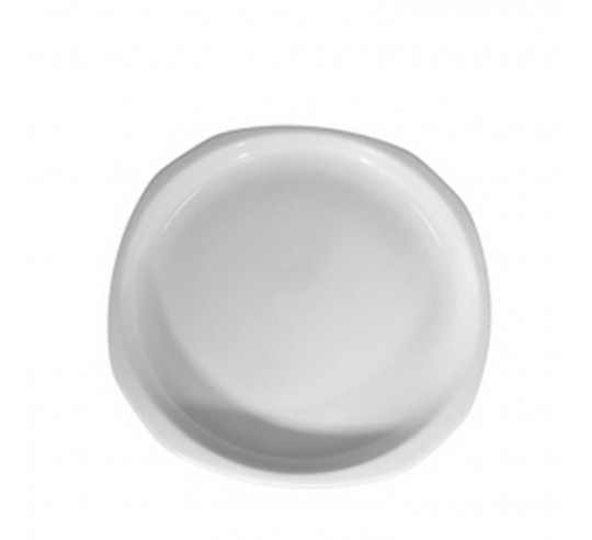 INDUCCION PLATO LLANO 23 cm