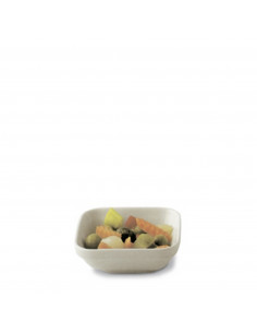THERMOTRAY RECT. DISH 10 CM