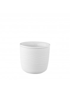 CURLY RAW TAZA TERMICA 18 cl
