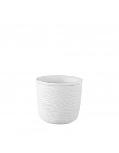 CURLY RAW TAZA TERMICA 8 cl