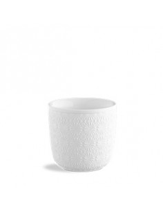 STARS RAW TAZA TERMICA 18 cl