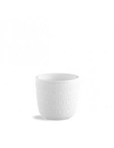 STARS RAW TAZA TERMICA 8 cl