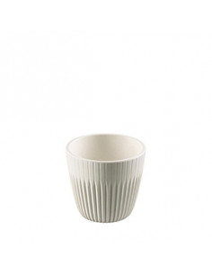 LINEO BLANCO BOL 7 cm (Set...