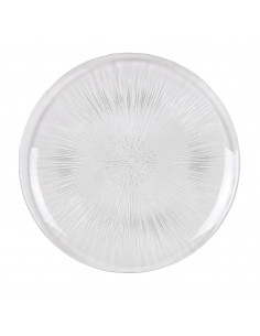 ASTER PLATO LLANO 34 cm
