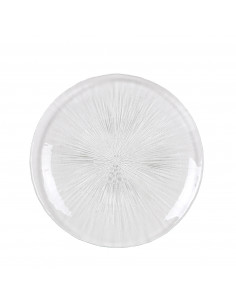 ASTER PLATO LLANO 27 cm