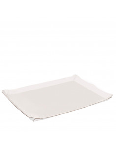 BANDEJA MICROCANAL 24x31 cm...