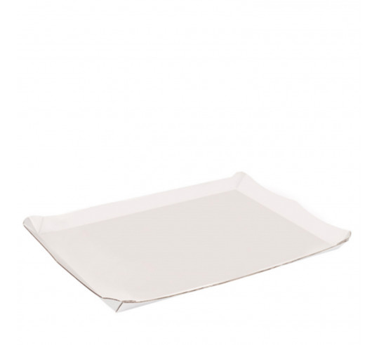 BANDEJA MICROCANAL 24x31 cm (50 u)