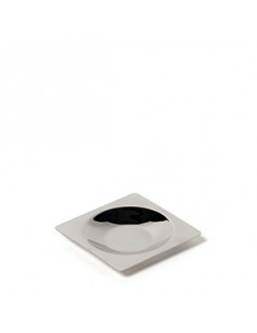 LAB PLATO 1/4 RACION 9x9 cm