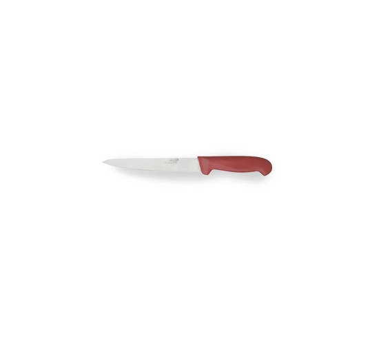 BLOC CUCHILLO FILETEADOR ROJO 21 cm
