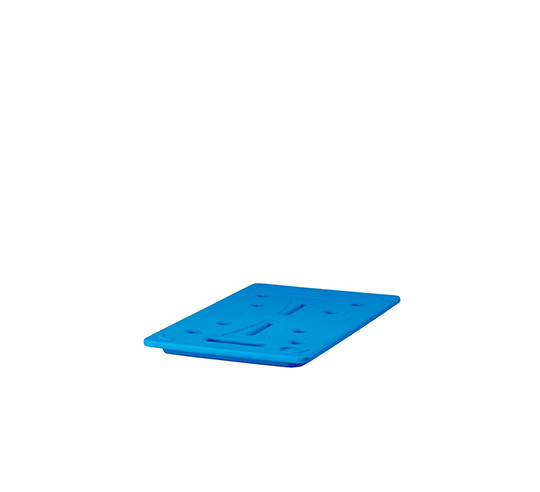 PLACA FRIA EUTECTICA GN 1/1