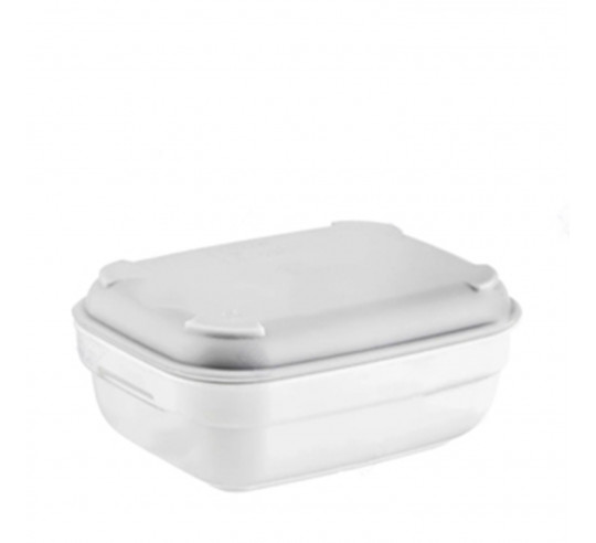 POLITRAY FUENTE RECT 12X9 cm