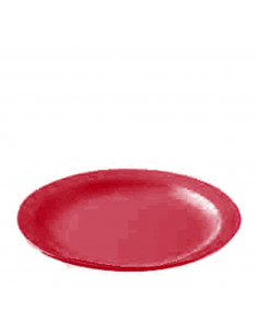 POLITRAY PLATO LLANO ROJO