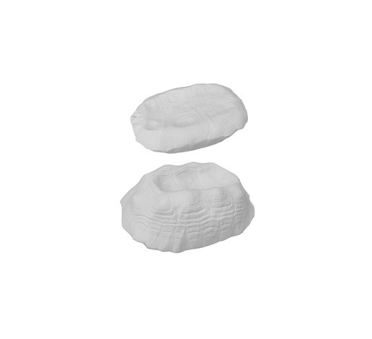 TURTLE DOUBLE SIDE WHITE DISH 26x18 cm
