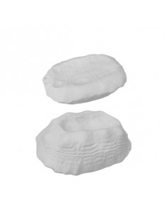 MISCE BOL OR TORTUGA BLANCA...