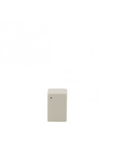 MODERN PEPPER MILL