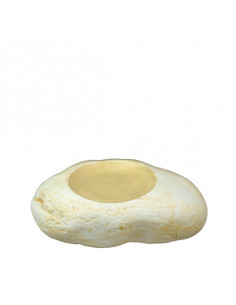 PIEDRAS PLATO LLANO QUEMA...