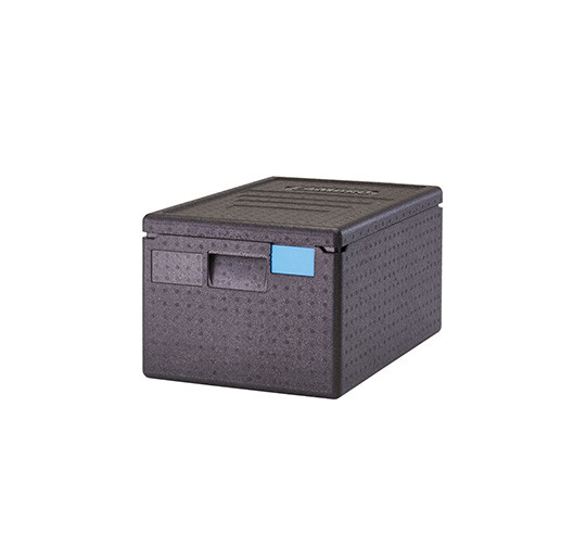 THERMOPOLEX 100 P