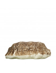 TURTLE DOUBLE SIDE DISH...