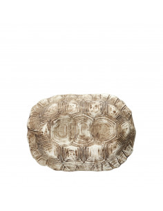 MISCE BOL OR TORTUGA MARRON...