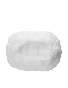 MISCE BOL OR TORTUGA BLANCA...