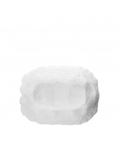 MISCE BOL OR TORTUGA BLANCA...