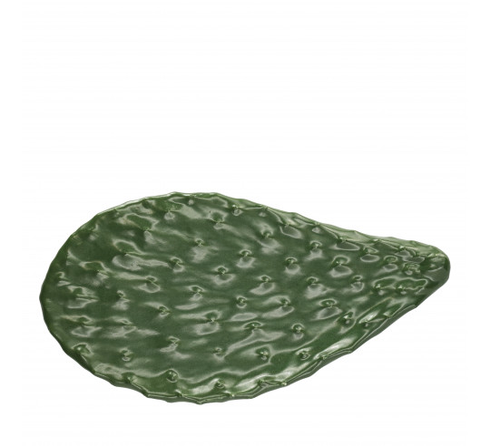 MISCELANEA FUENTE ORGANIC CACTUS 32x17cm