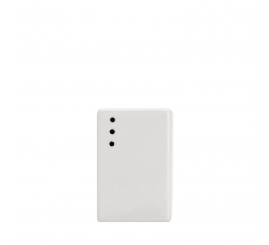 MODERN SALT SHAKER