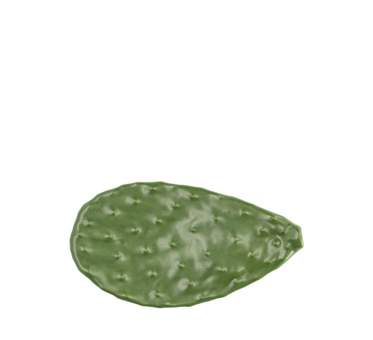 MISCEL RABANERA ORGANIC CACTUS 18x10 cm
