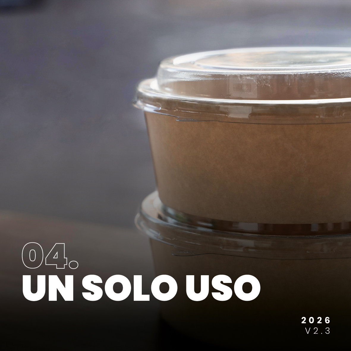 Catálogo un solo uso